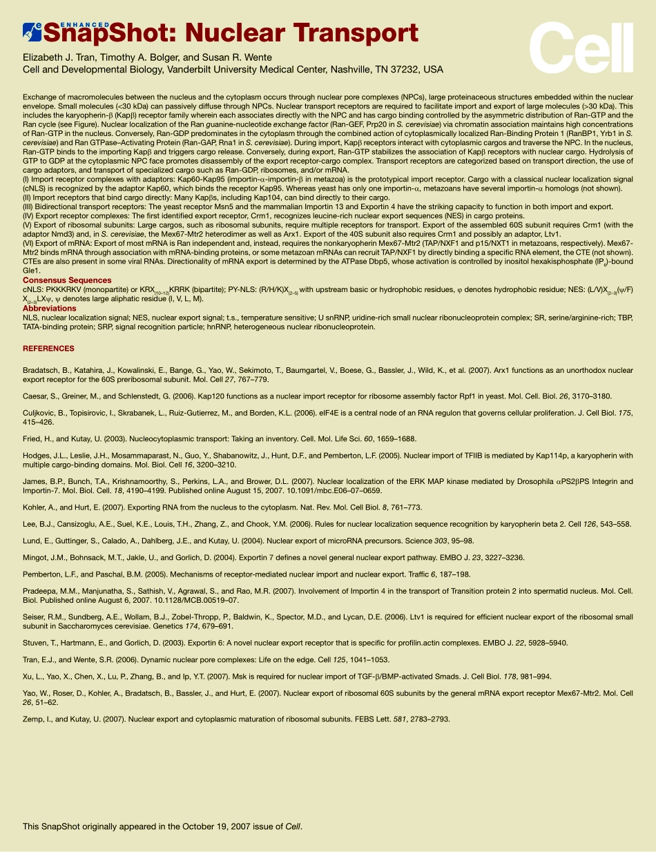 Nuclear Transport Enhanced.PDF_第2页