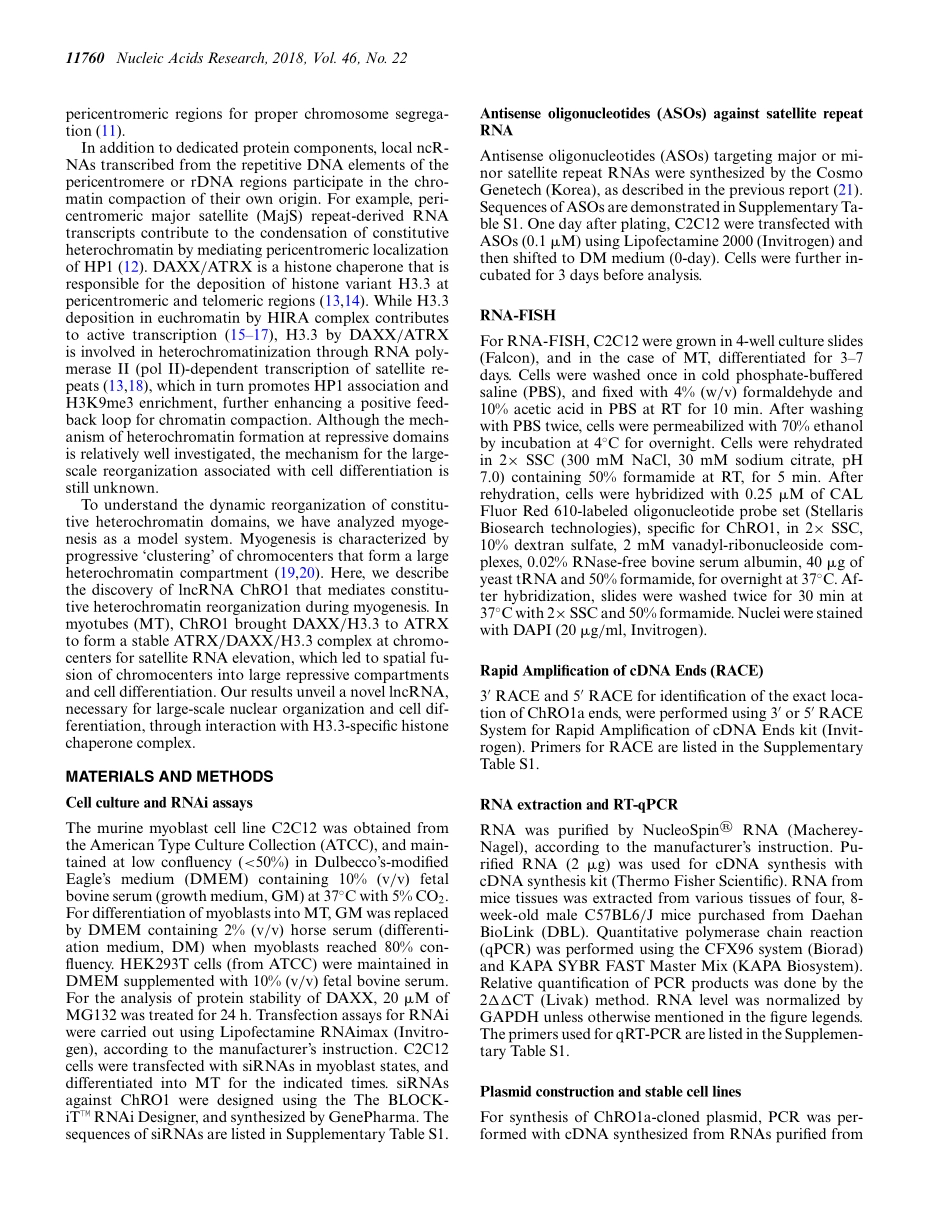 Nucleic Acids Res. 2018 长链非编码RNA ChRO1促进ATRX-DAXX依赖性H3.3沉积进行转录相关的异染色质重组.pdf_第2页