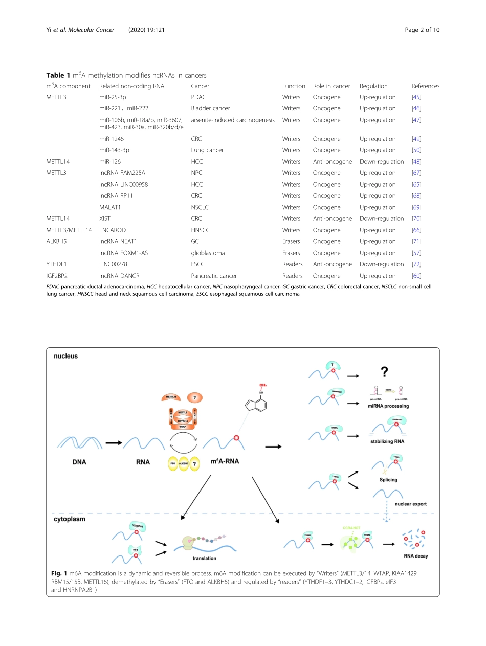 Novel insights into the interplay between m6A.pdf_第2页