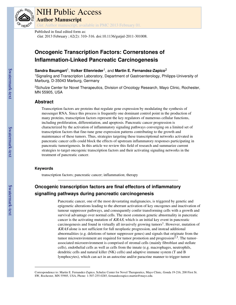Oncogenic Transcription Factors- Cornerstones of Inflammation-Linked Pancreatic Carcinogenesis.pdf_第1页