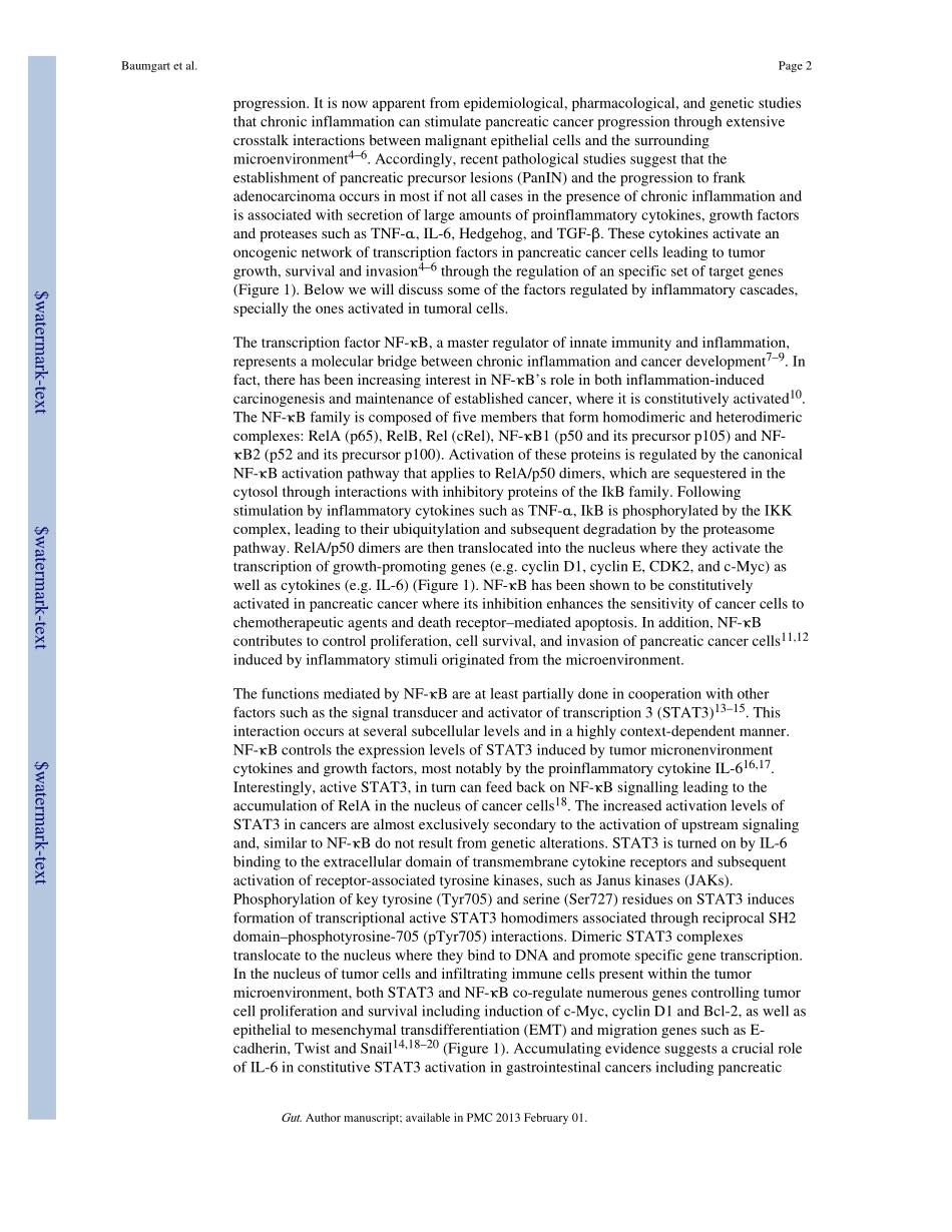 Oncogenic Transcription Factors- Cornerstones of Inflammation-Linked Pancreatic Carcinogenesis.pdf_第2页