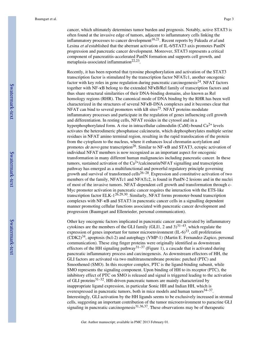 Oncogenic Transcription Factors- Cornerstones of Inflammation-Linked Pancreatic Carcinogenesis.pdf_第3页