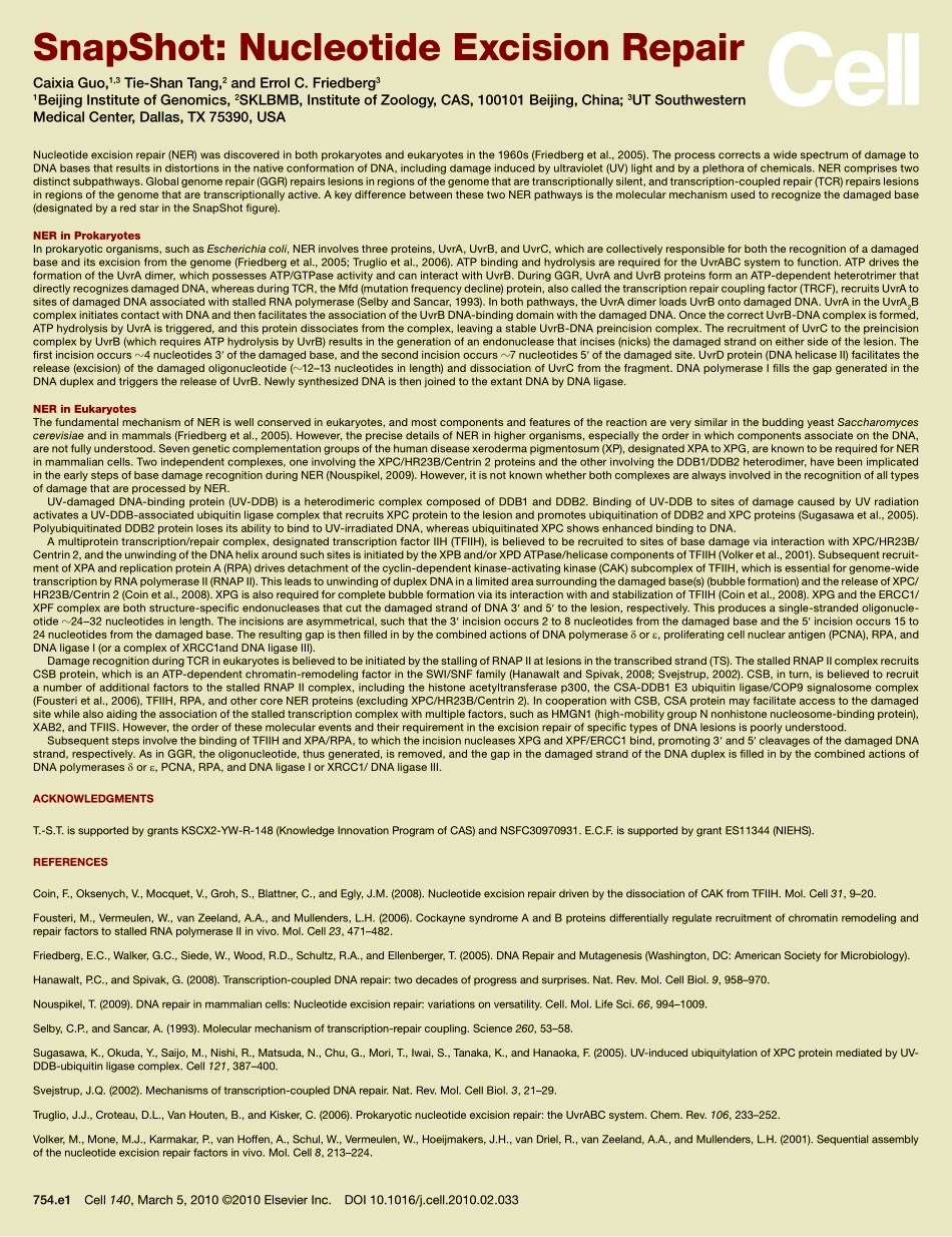Nucleotide Excision Repair.PDF_第2页