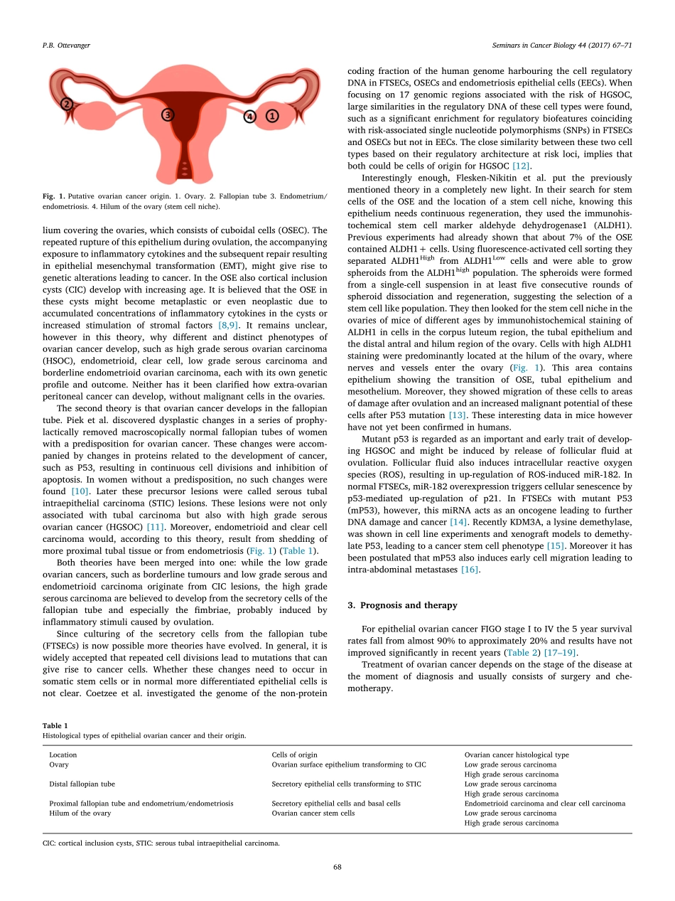 Ottevanger-2017-Ovarian cancer stem cells more.pdf_第2页
