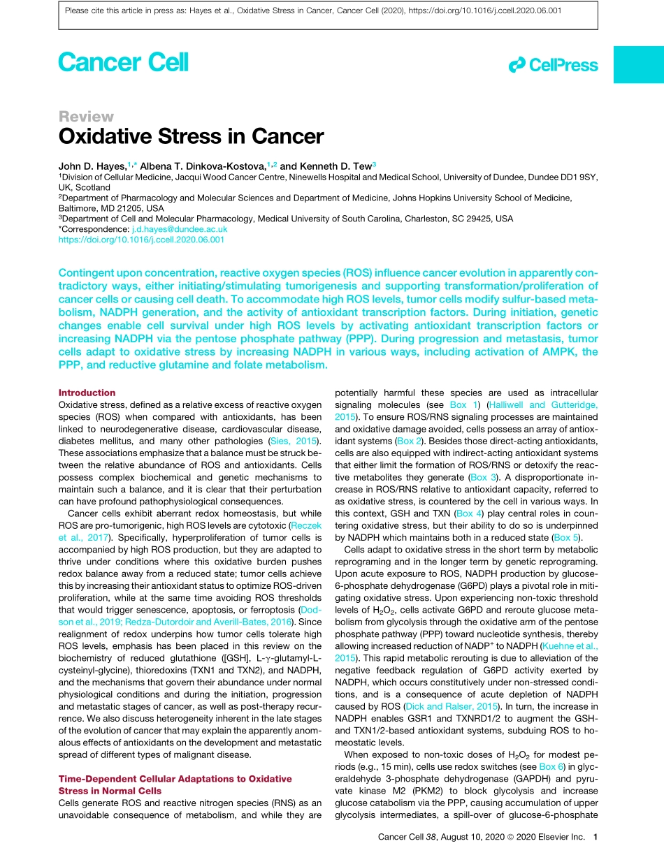 Oxidative Stress in Cancer.pdf_第1页