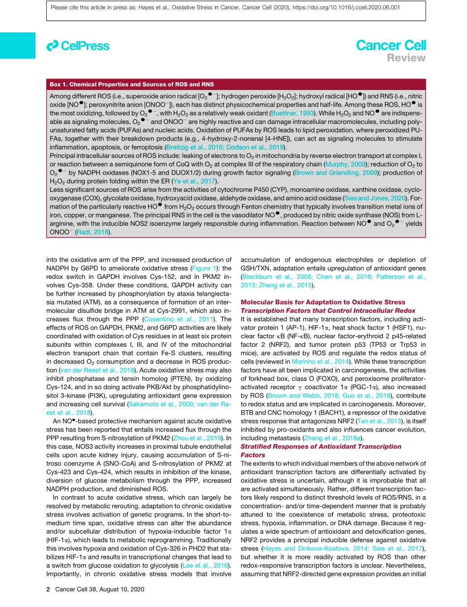 Oxidative Stress in Cancer.pdf_第2页