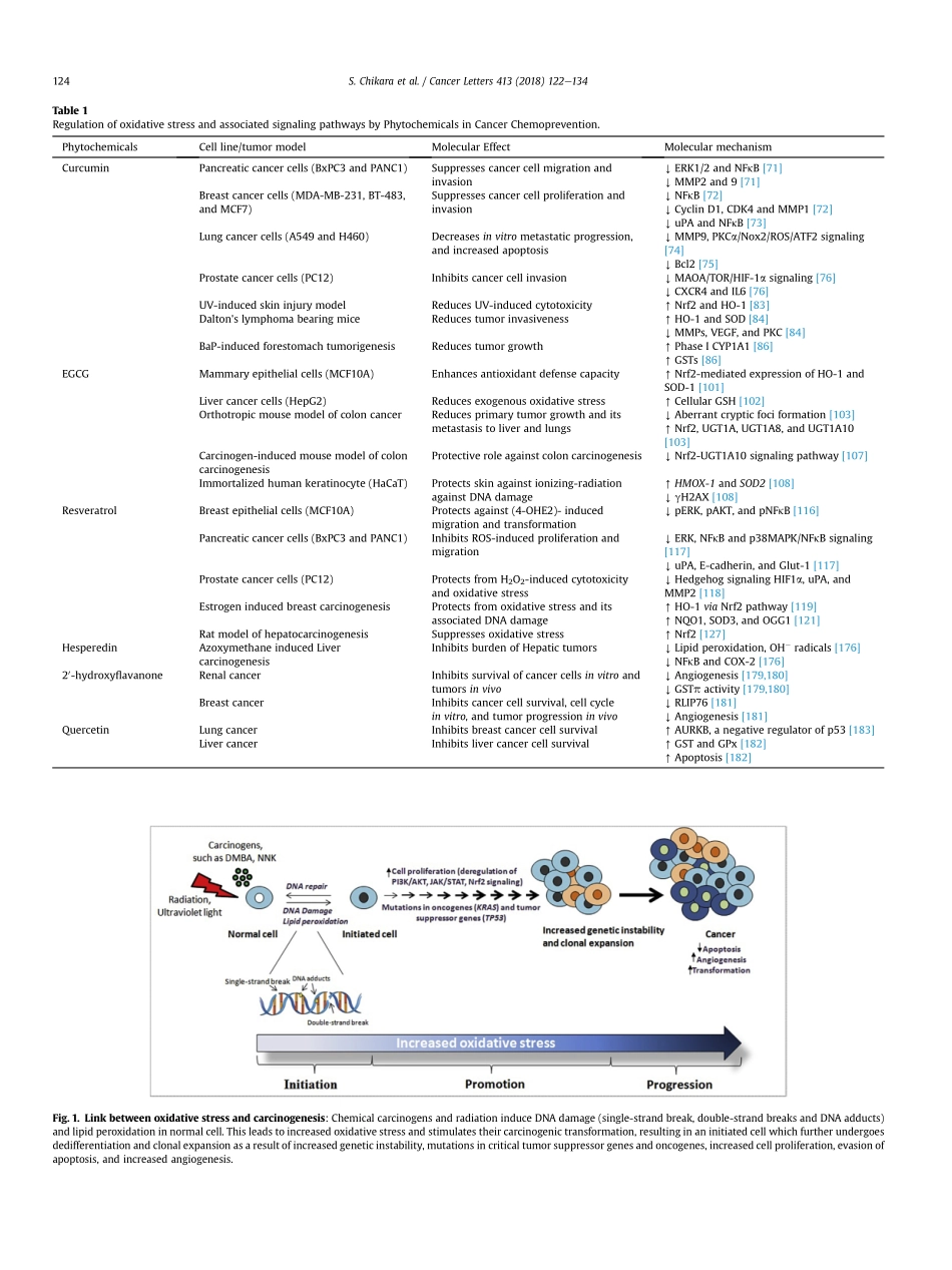 Oxidative stress and dietary phytochemicals-Role in cancer chemoprevention and treatment.pdf_第3页