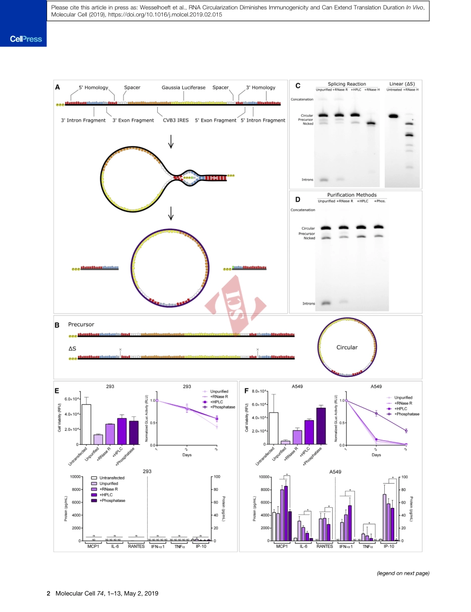 PMID：30902547.pdf_第3页