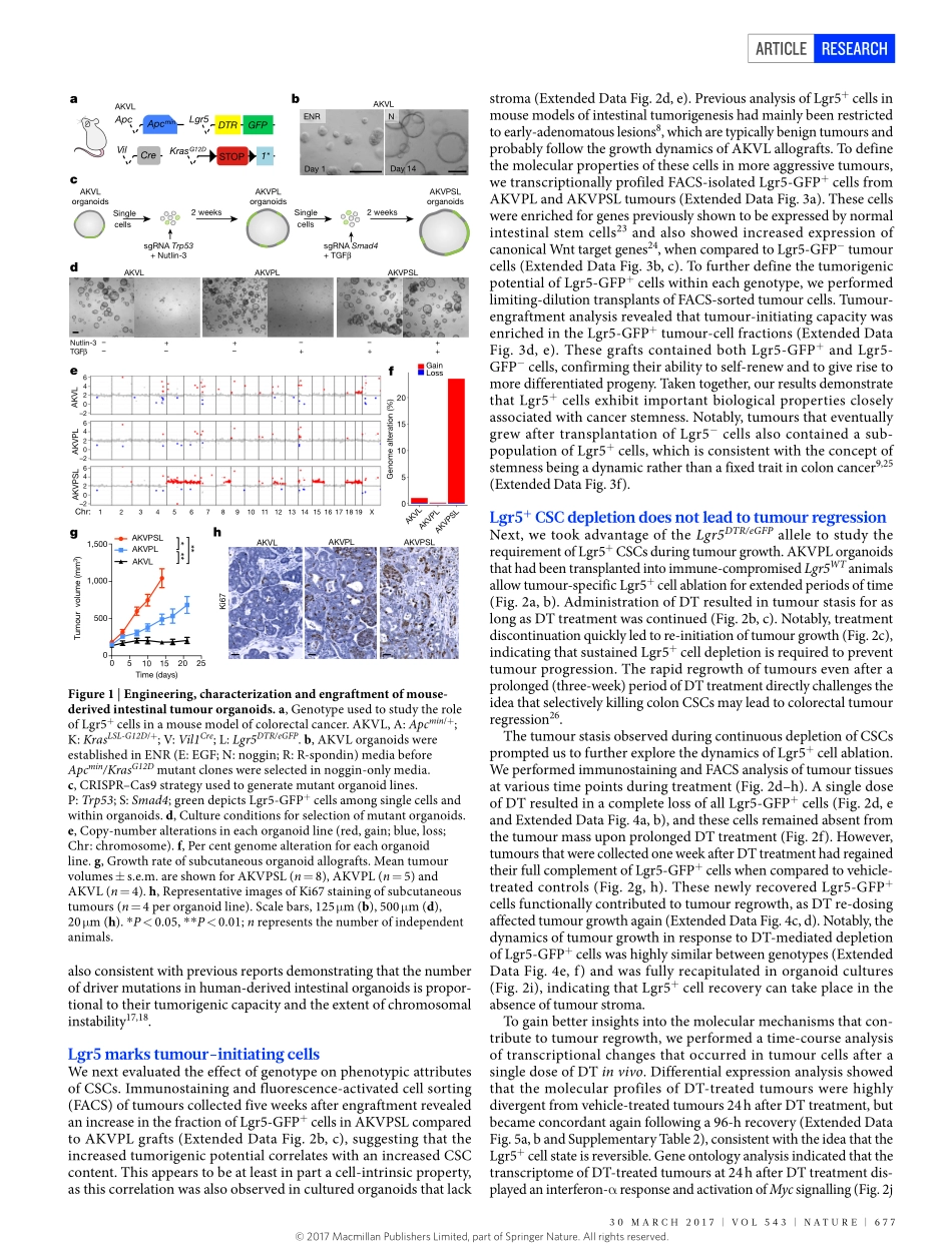 Nature. 2017Lgr5(+)干细胞在原发性和转移性结肠癌中的独特作用.pdf_第2页