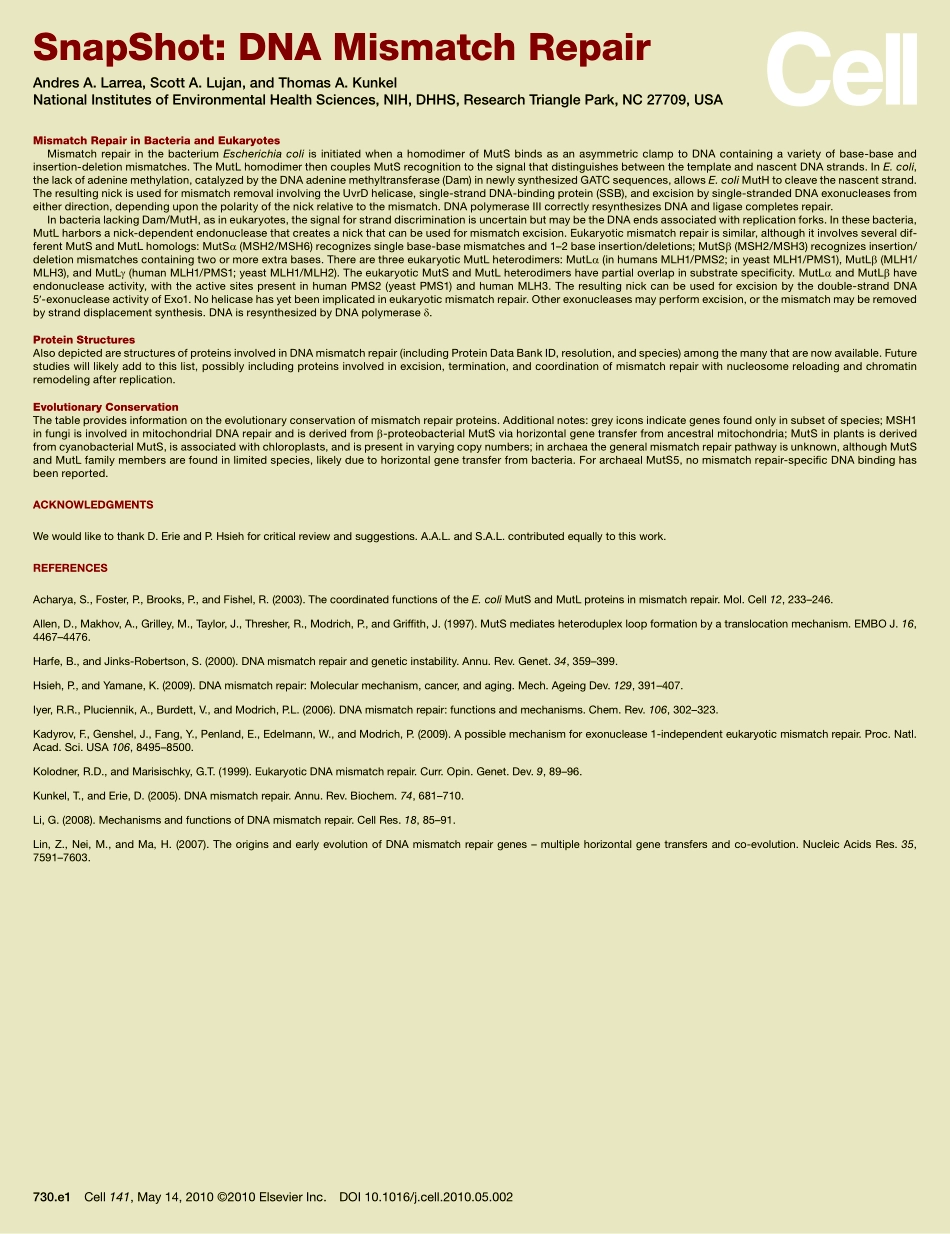 DNA Mismatch Repair.PDF_第2页