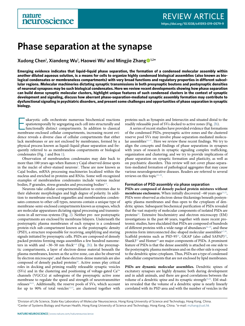 Phase separation at the synapse.pdf_第1页