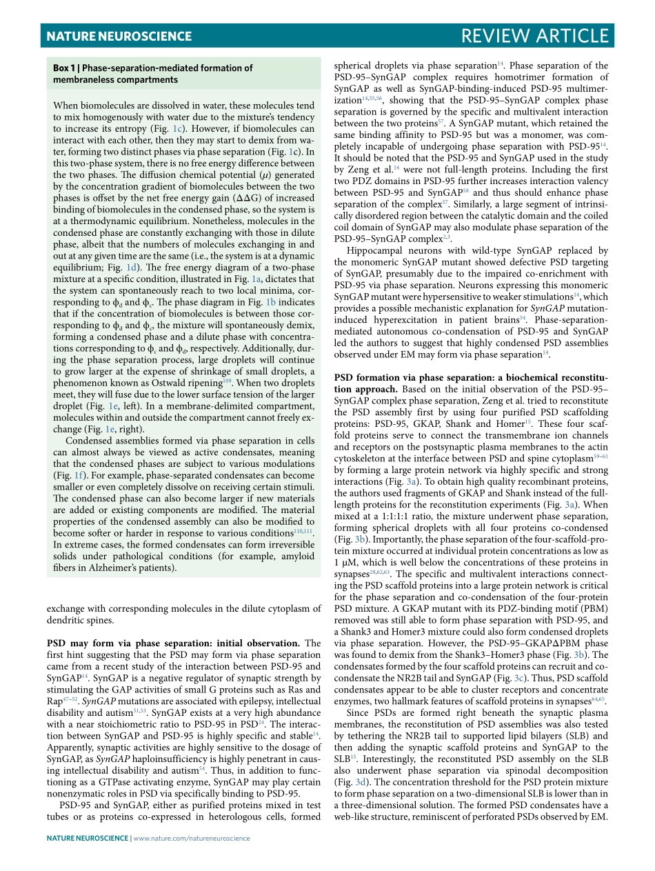Phase separation at the synapse.pdf_第3页