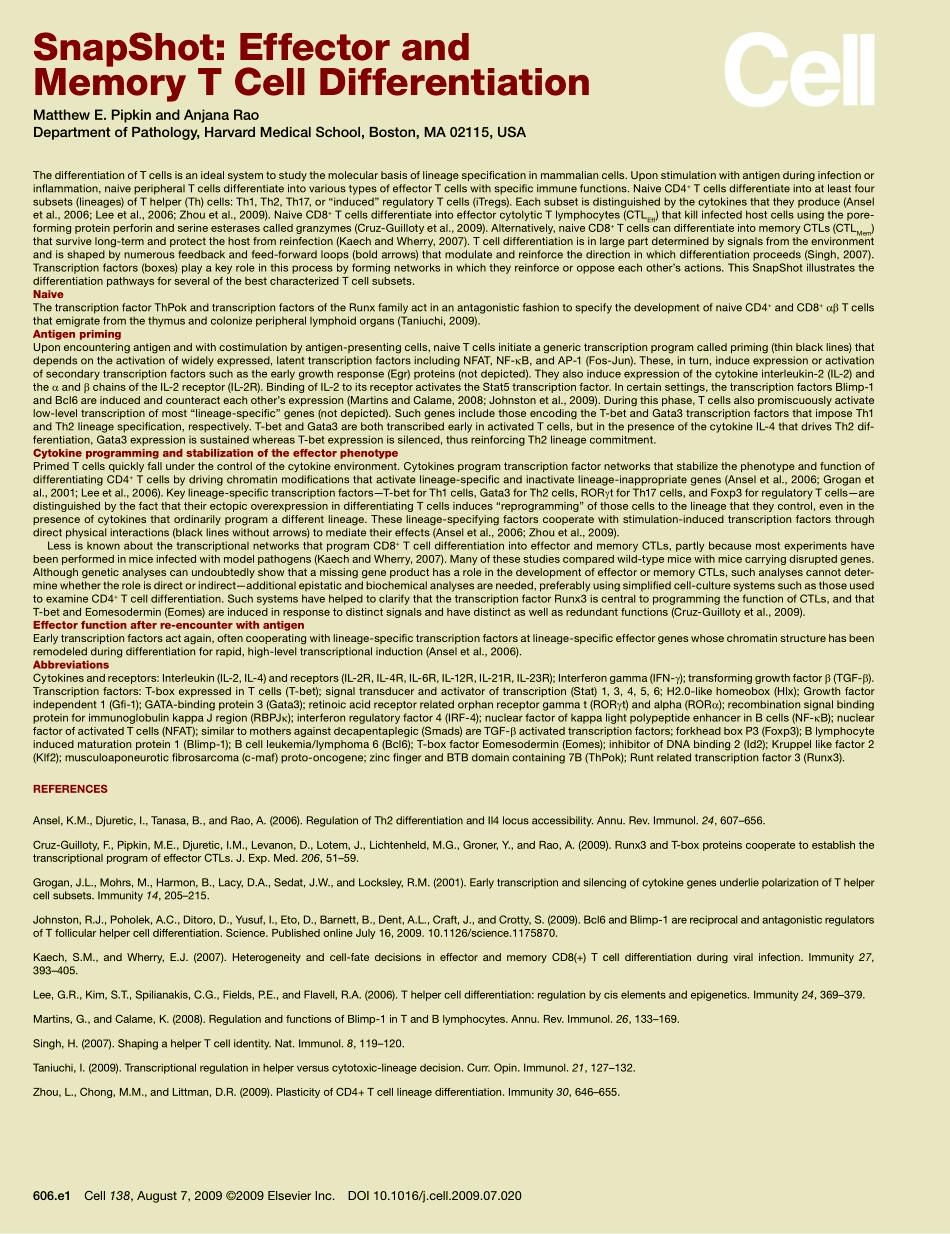 Effector and Memory T Cell Differentiation.pdf_第2页
