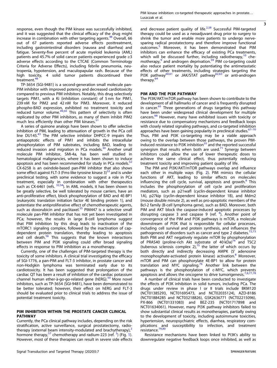 PIM kinase inhibition co-targeted therapeutic.pdf_第3页