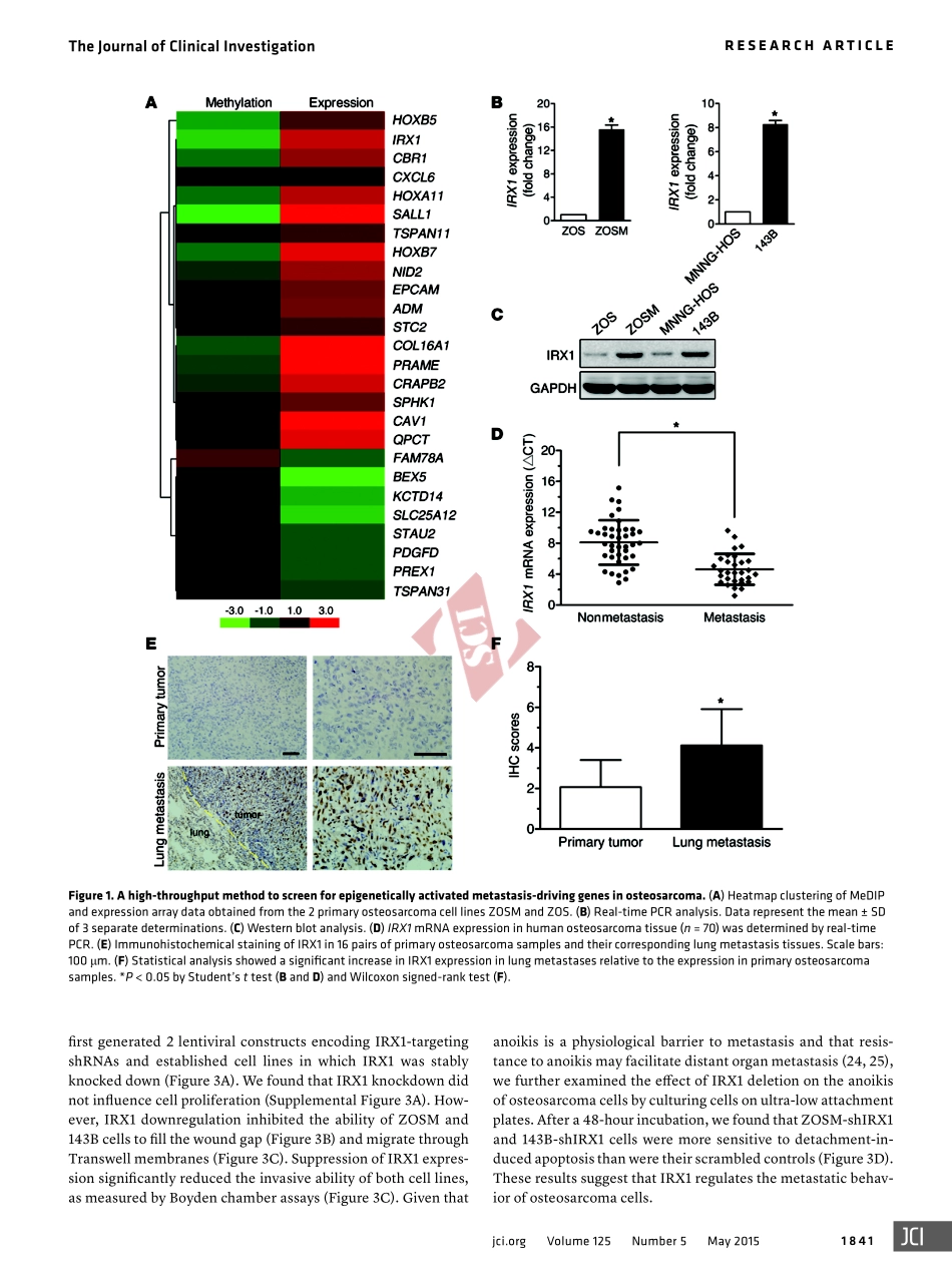 PMID：25822025.pdf_第3页