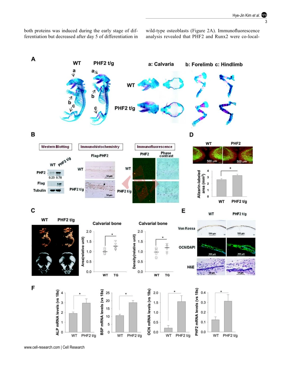 PMID：25257467.pdf_第3页
