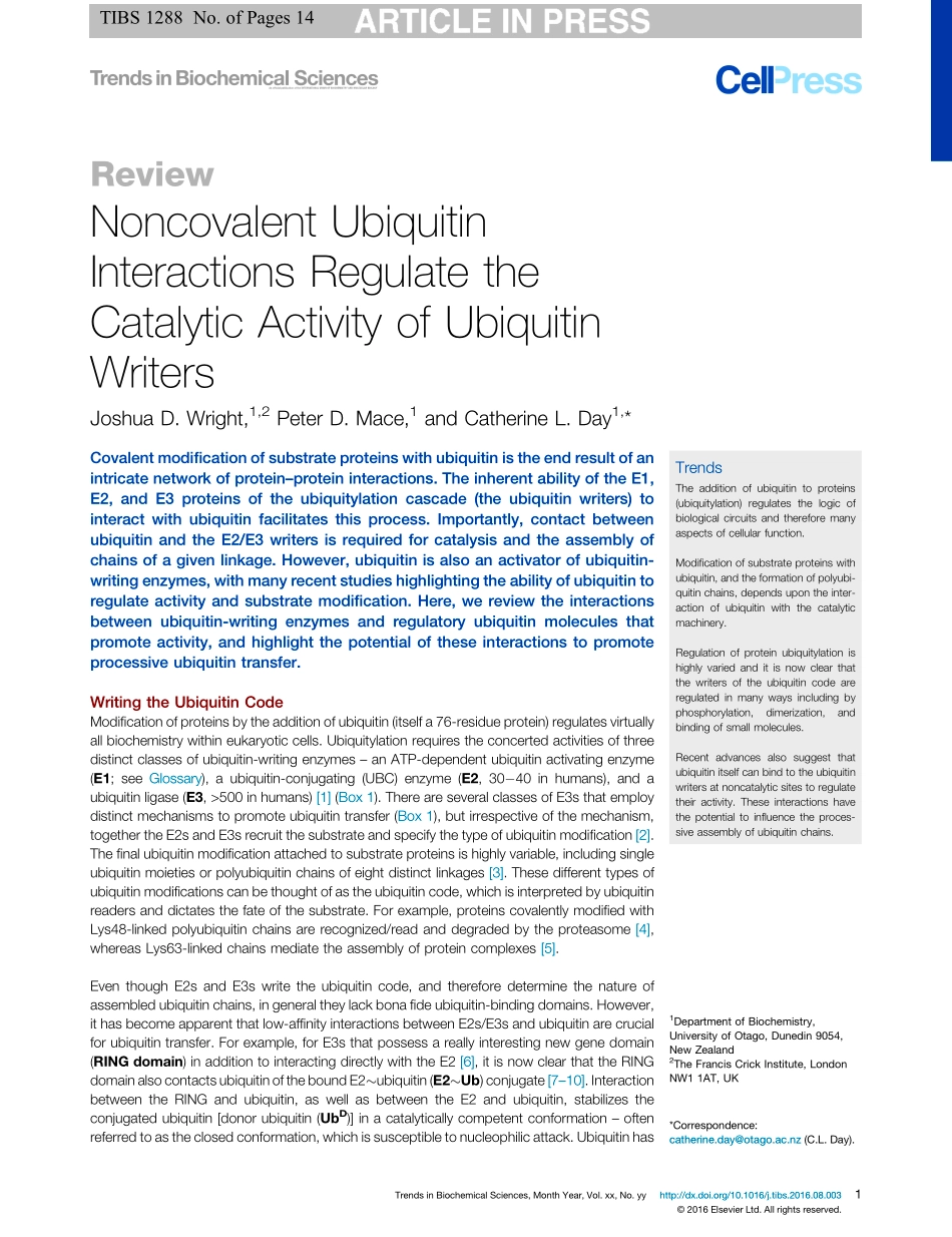 Noncovalent Ubiquitin Interactions Regulate the Catalytic Activity of Ubiquitin Writers.pdf_第1页
