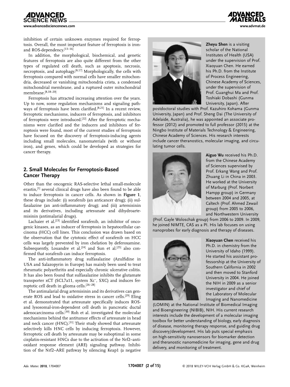 Emerging Strategies of Cancer Therapy Based on Ferroptosis.pdf_第2页