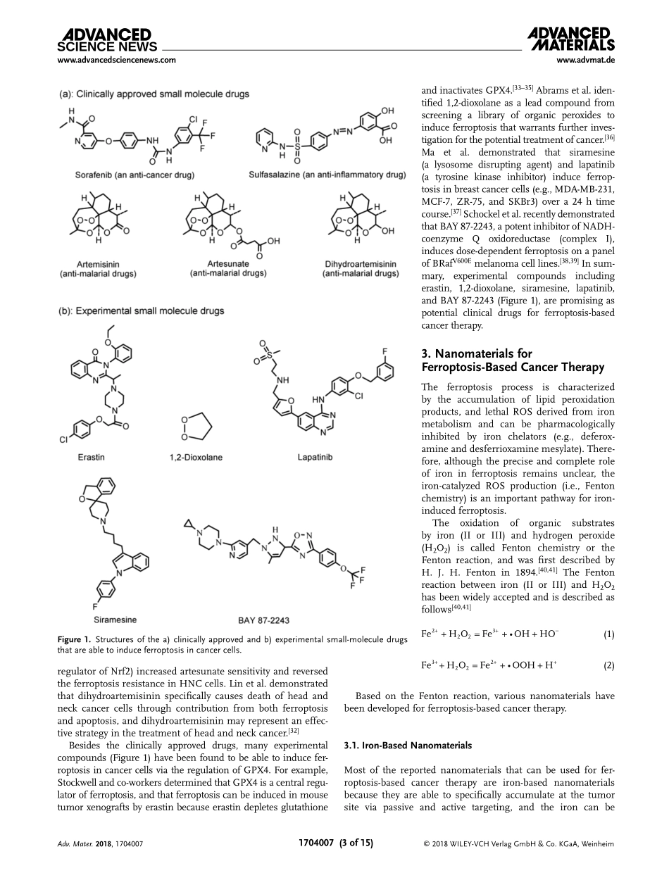 Emerging Strategies of Cancer Therapy Based on Ferroptosis.pdf_第3页