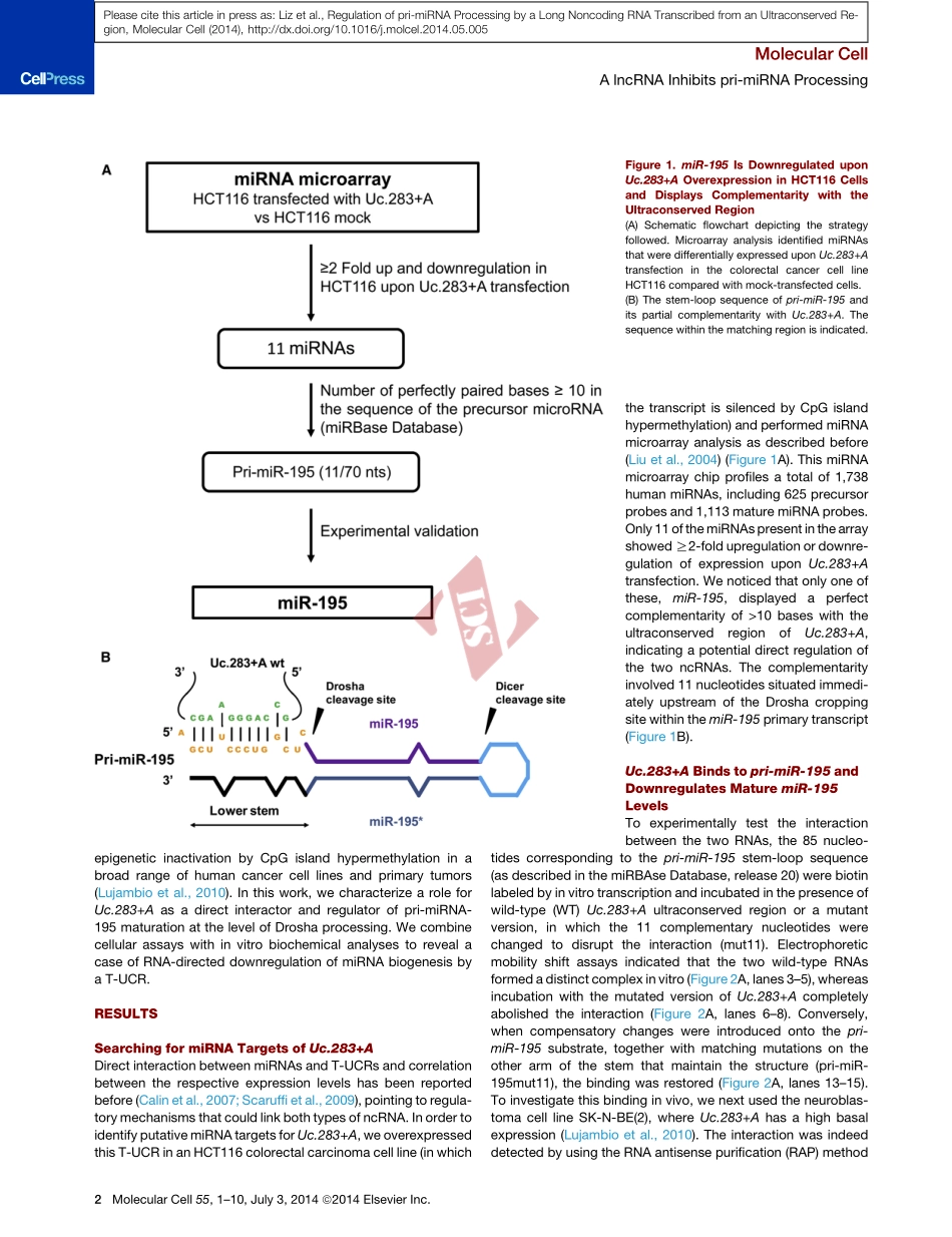 PMID：24910097.pdf_第2页