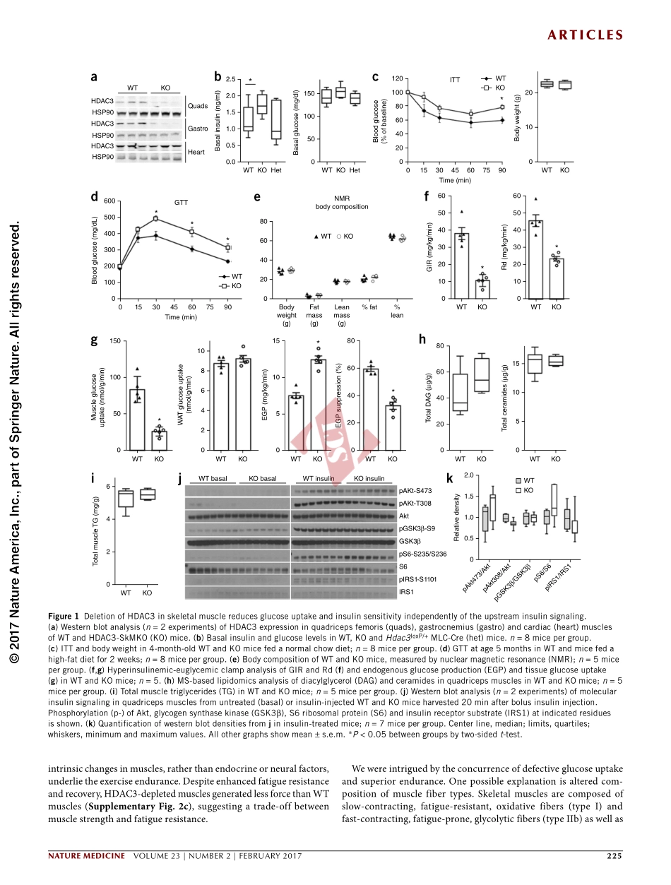 PMID：27991918.pdf_第3页