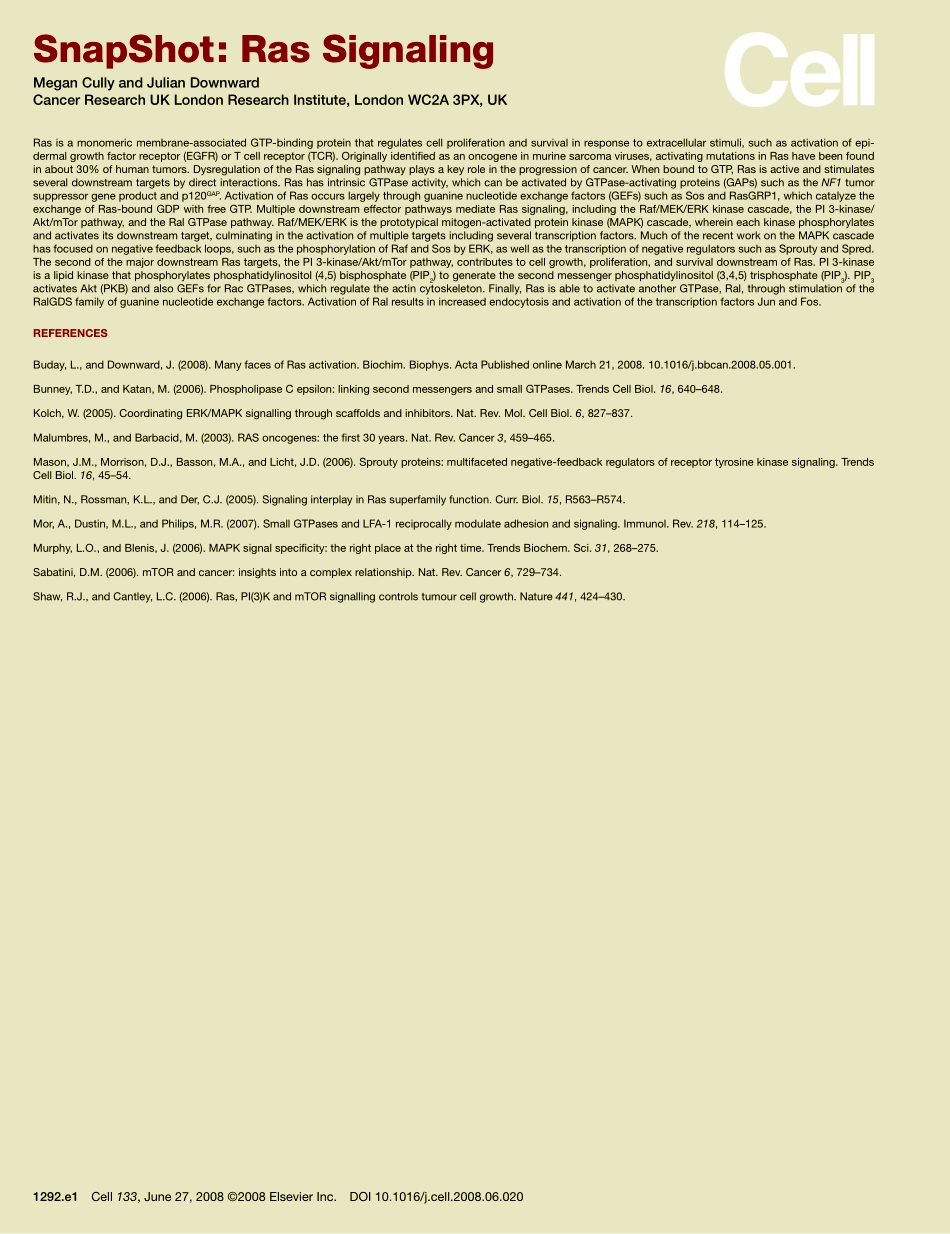 Ras Signaling.pdf_第2页