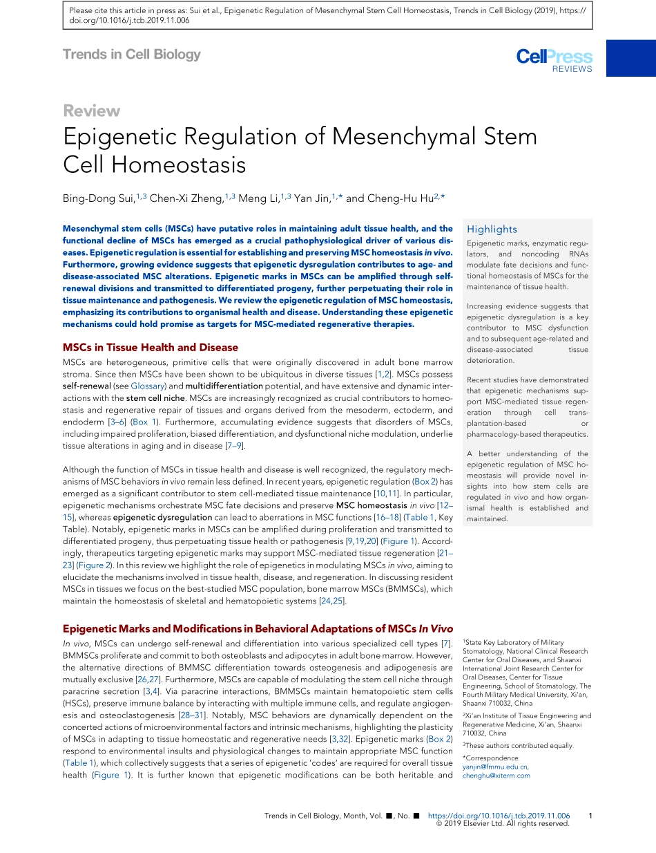 Epigenetic Regulation of Mesenchymal Stem Cell.pdf_第1页