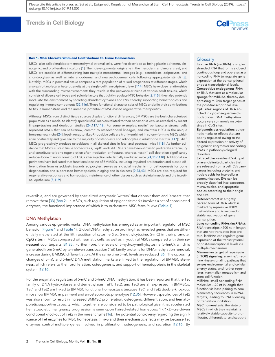 Epigenetic Regulation of Mesenchymal Stem Cell.pdf_第2页