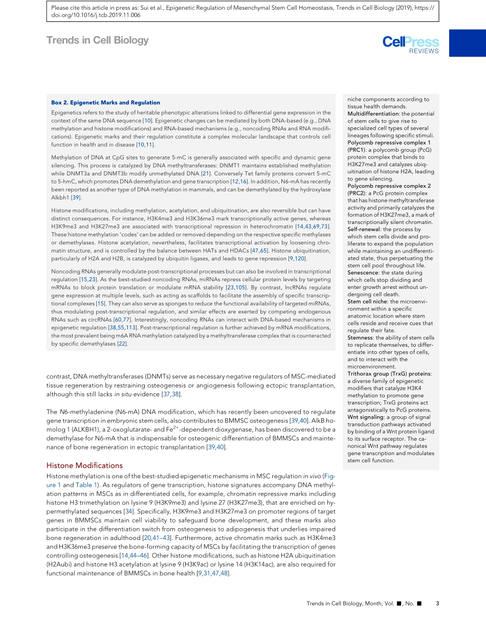 Epigenetic Regulation of Mesenchymal Stem Cell.pdf_第3页