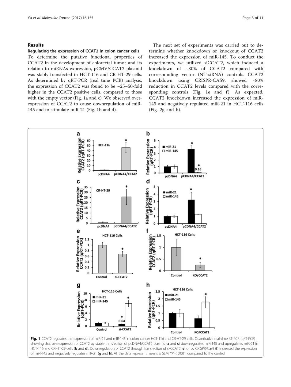 PMID：28964256.pdf_第3页