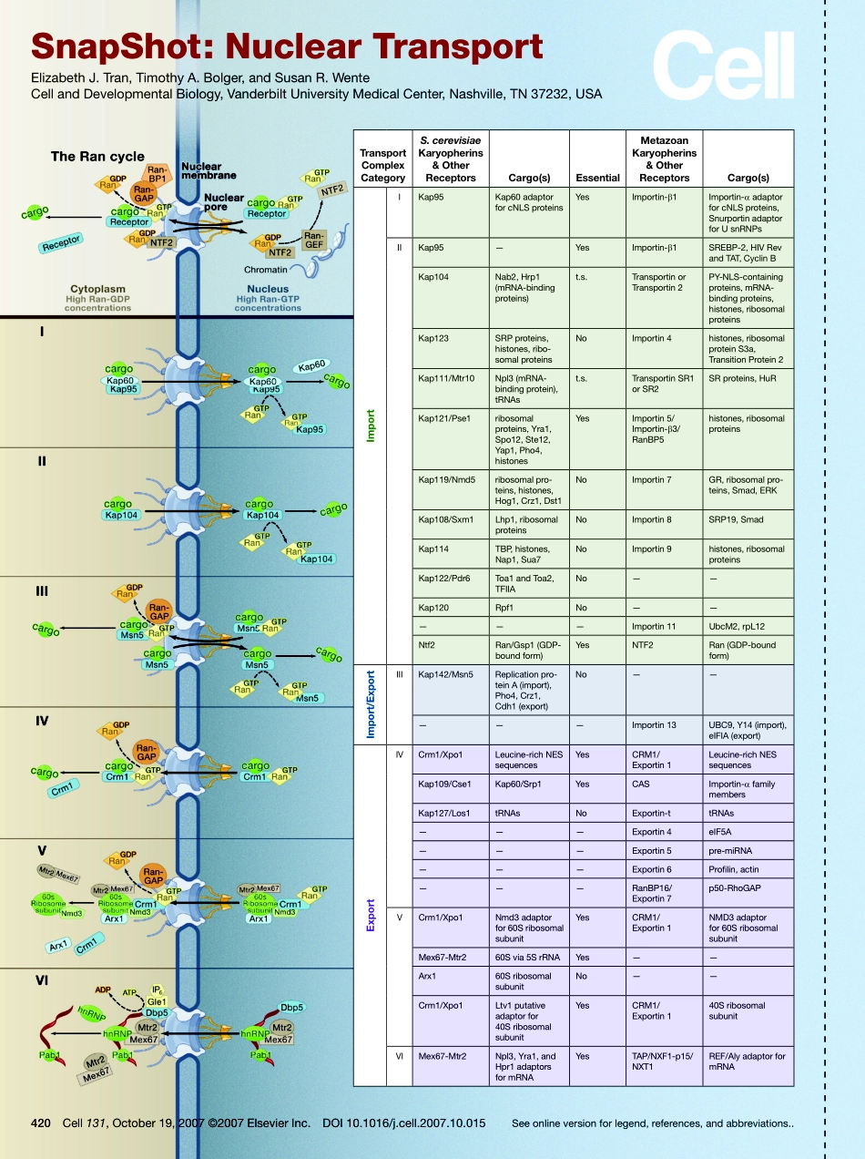 Nuclear Transport.PDF_第1页