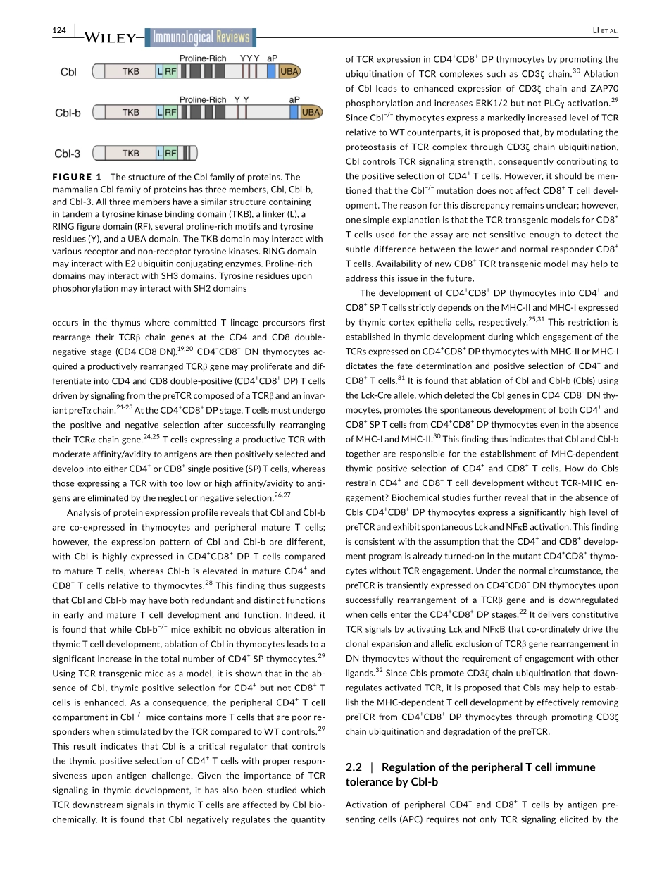 Regulation of immune system development and fu.pdf_第2页