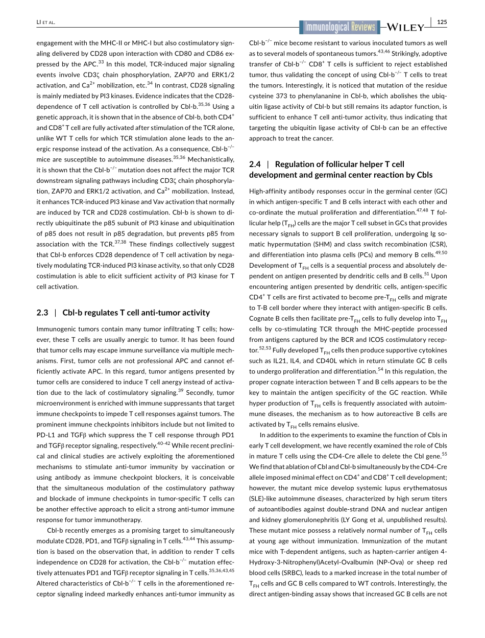 Regulation of immune system development and fu.pdf_第3页
