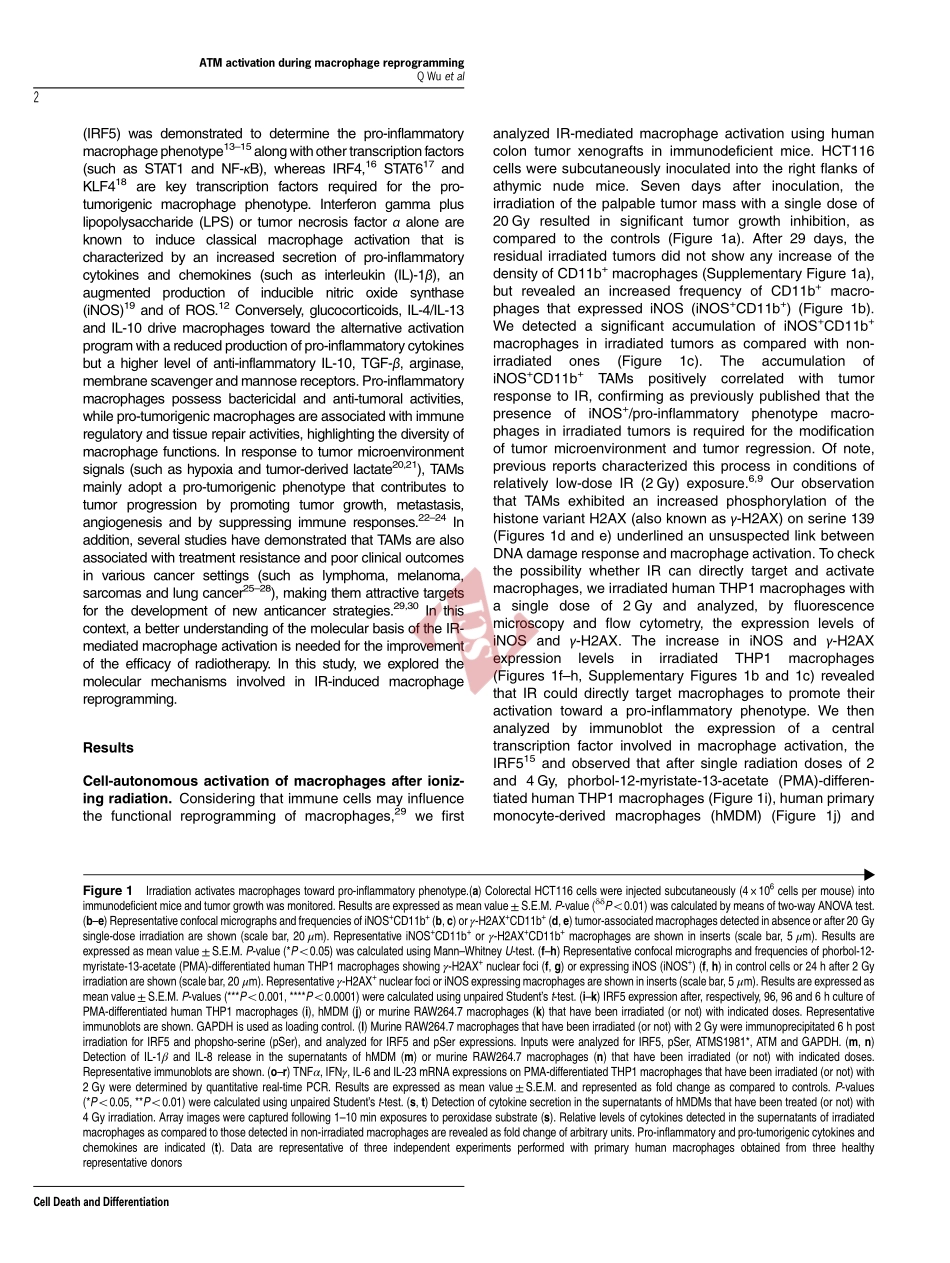 PMID：28574504.pdf_第2页