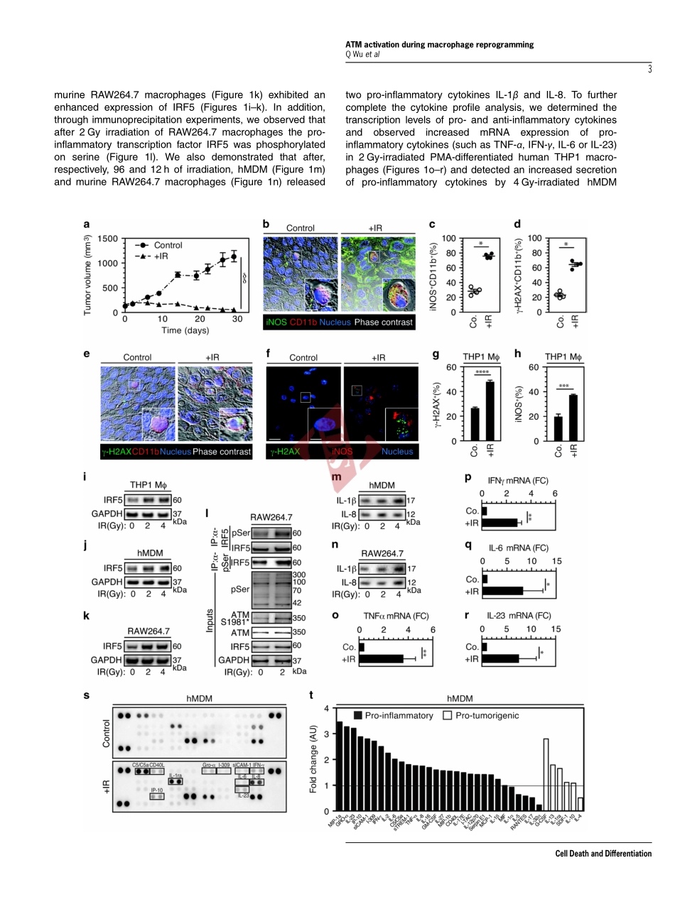 PMID：28574504.pdf_第3页