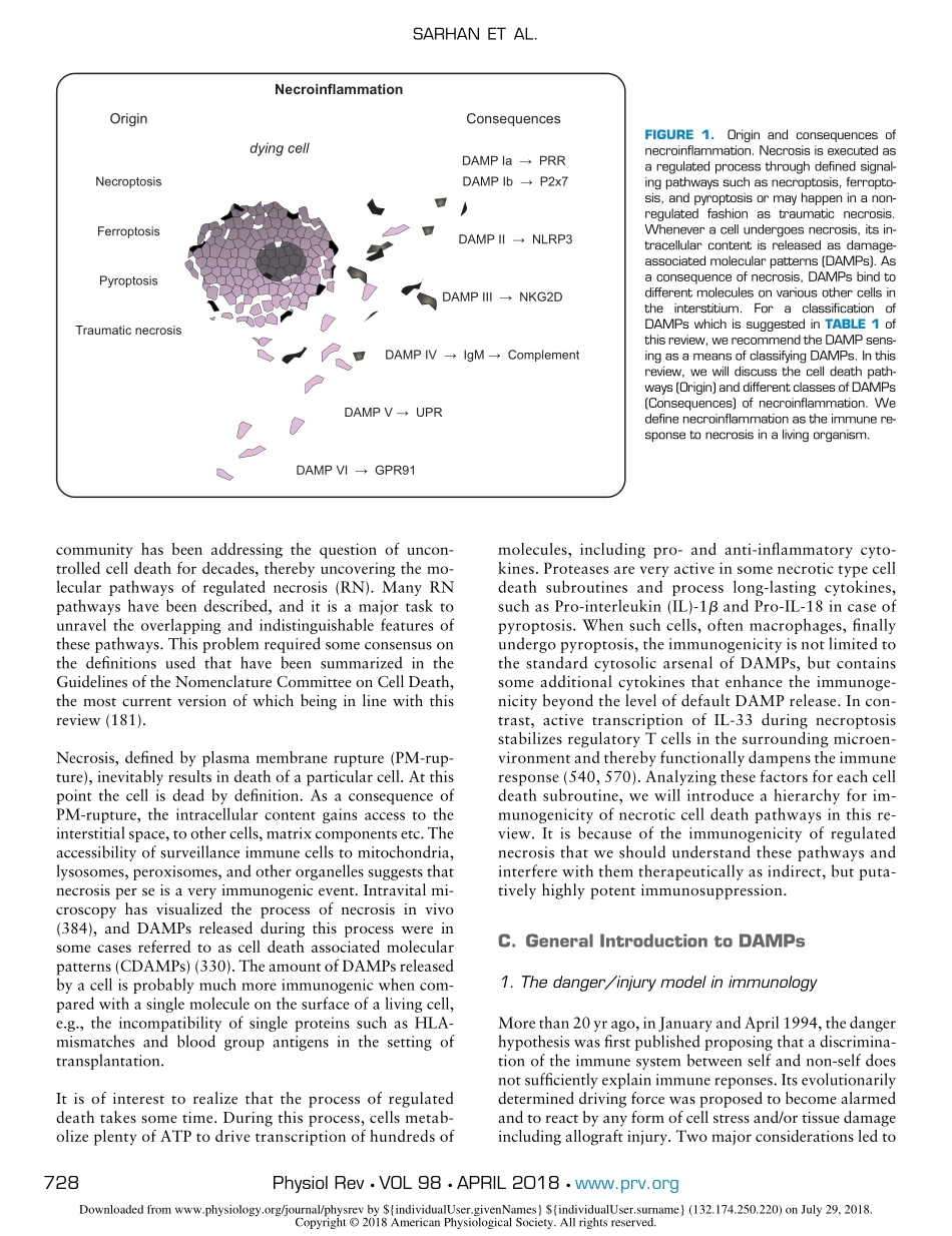 ORIGIN AND CONSEQUENCES OF NECROINFLAMMATION.pdf_第2页