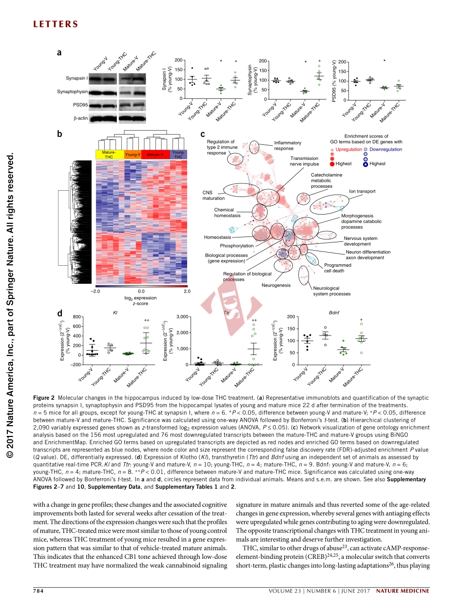 PMID：28481360.pdf_第3页