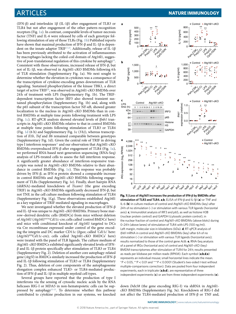 PMID：29358708.pdf_第2页