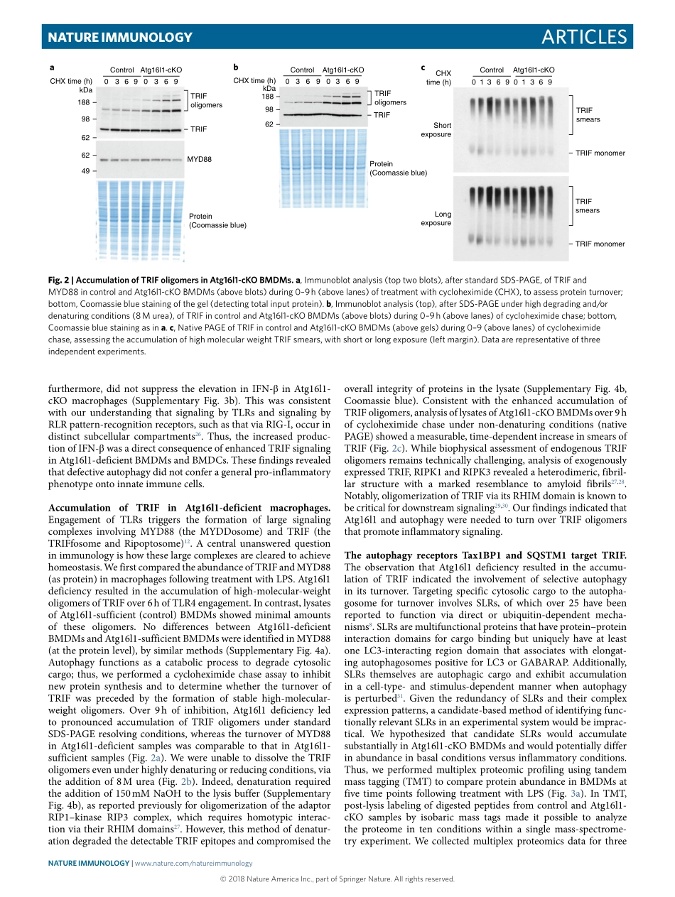 PMID：29358708.pdf_第3页