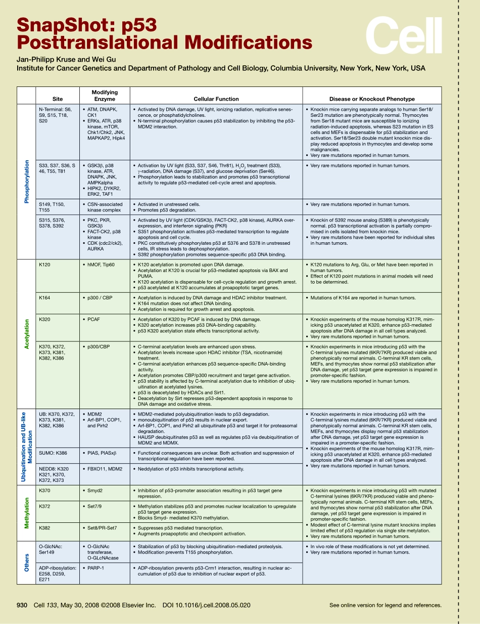 p53 Posttranslational Modifications.pdf_第1页