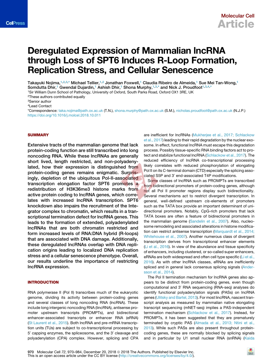 PMID：30449723.pdf_第2页
