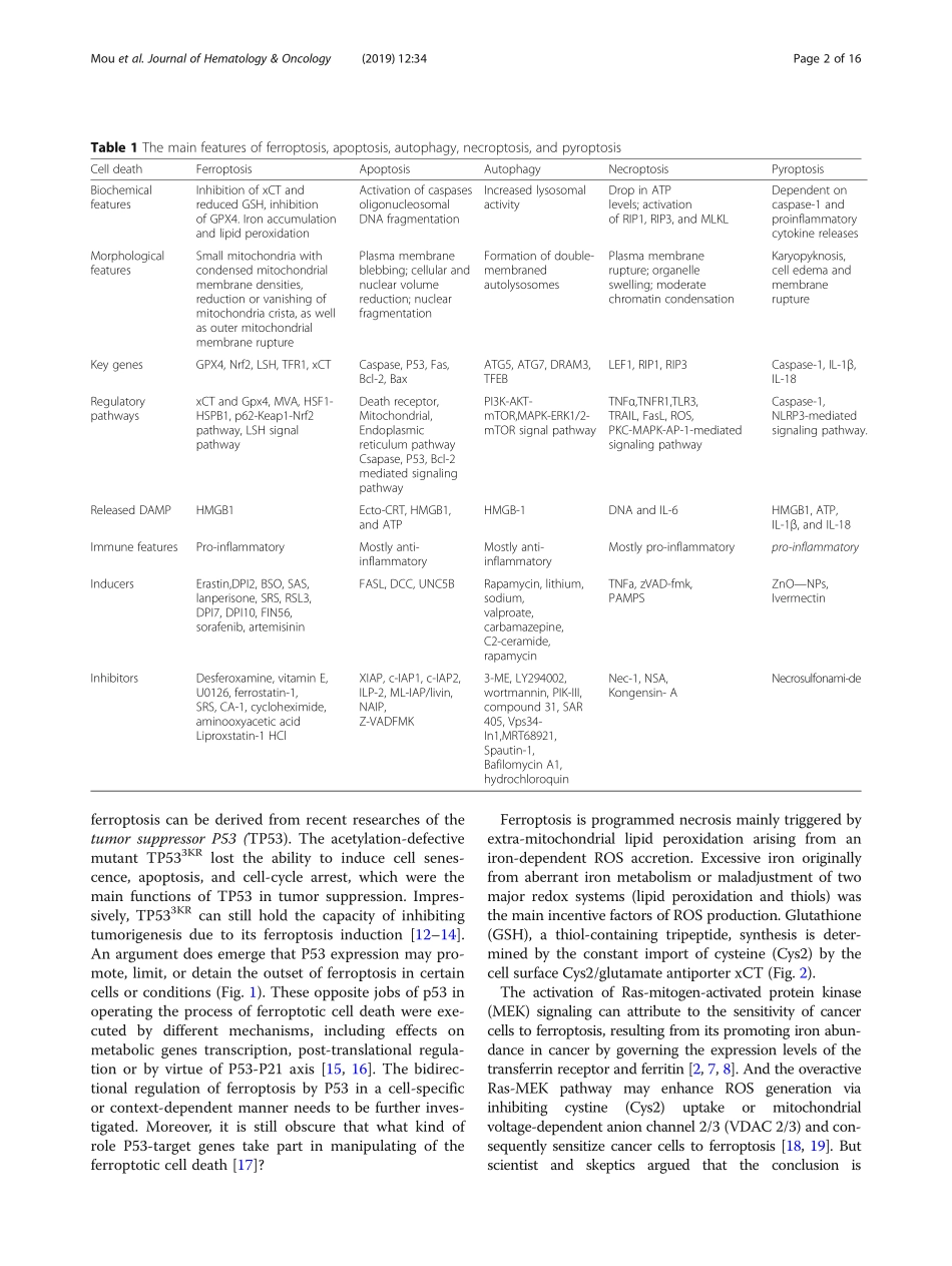 Ferroptosis, a new form of cell death opportun.pdf_第2页