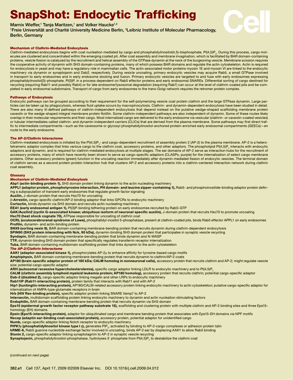 Endocytic Traff cking.PDF_第2页
