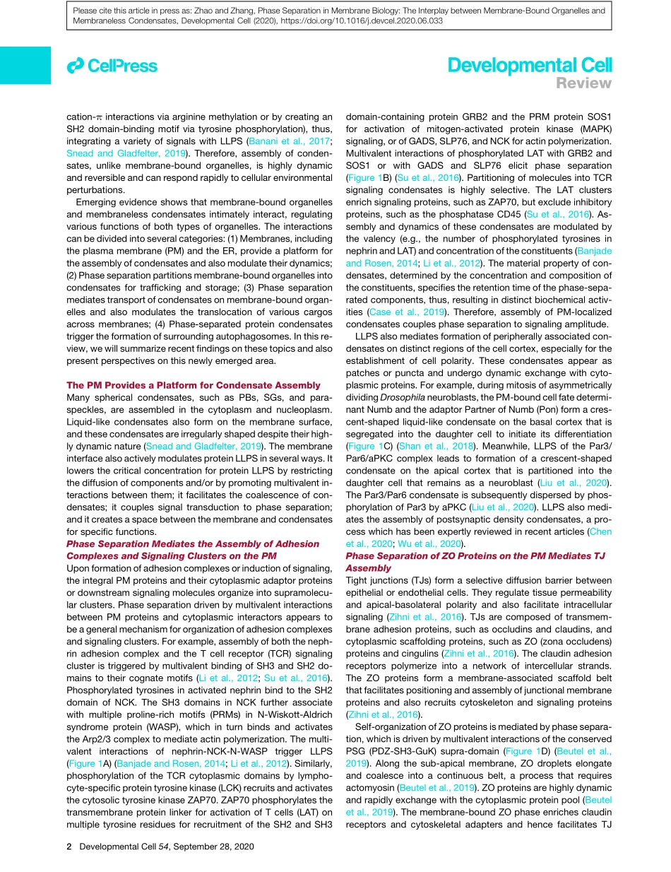 Phase Separation in Membrane Biology The Inter.pdf_第2页