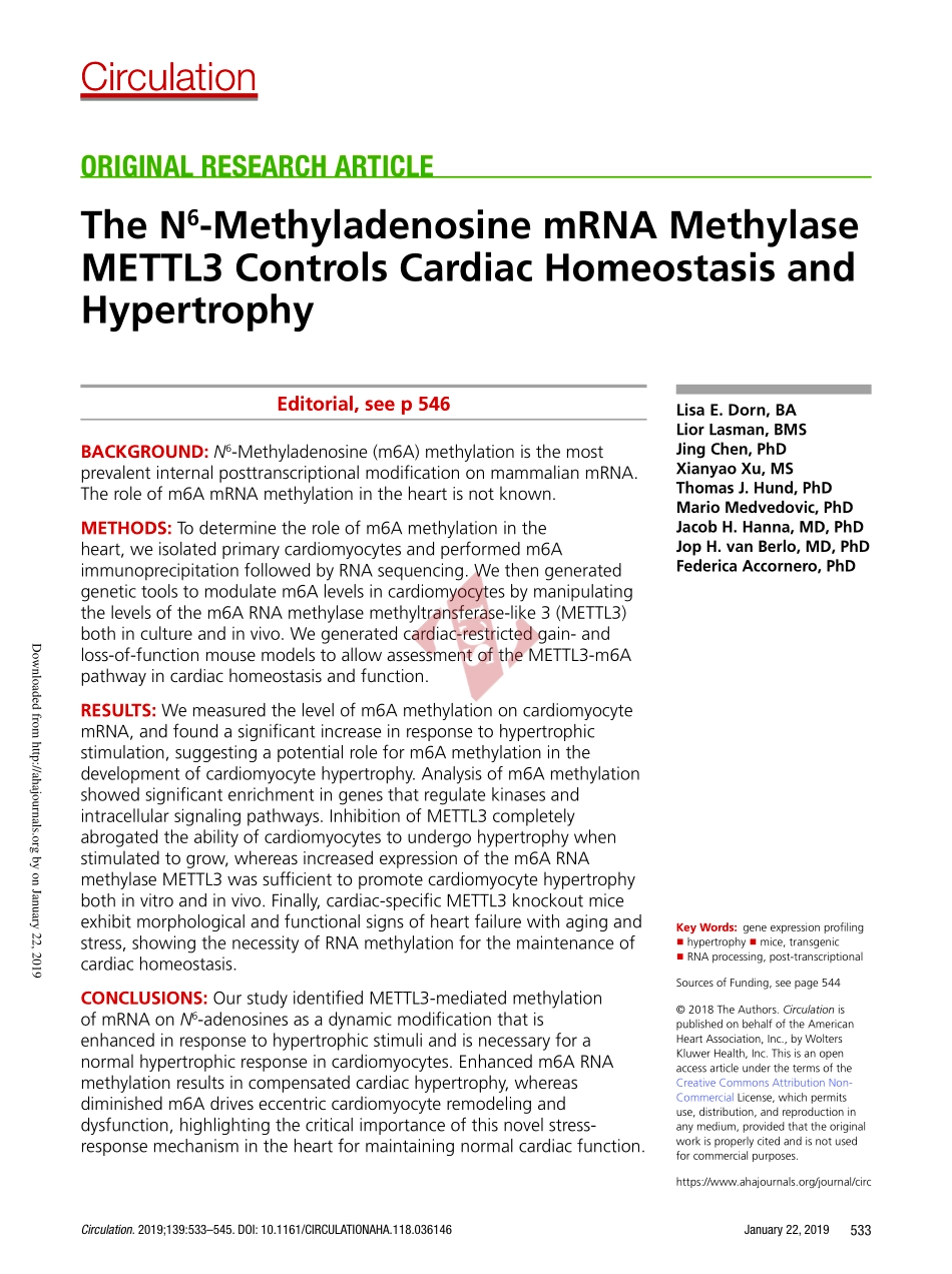 PMID：30586742.pdf_第1页
