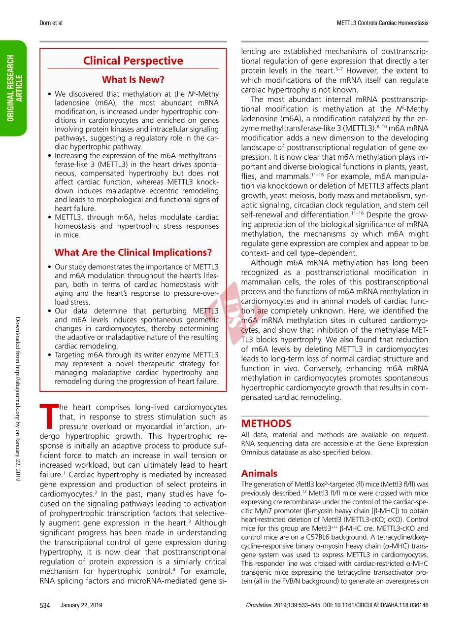 PMID：30586742.pdf_第2页