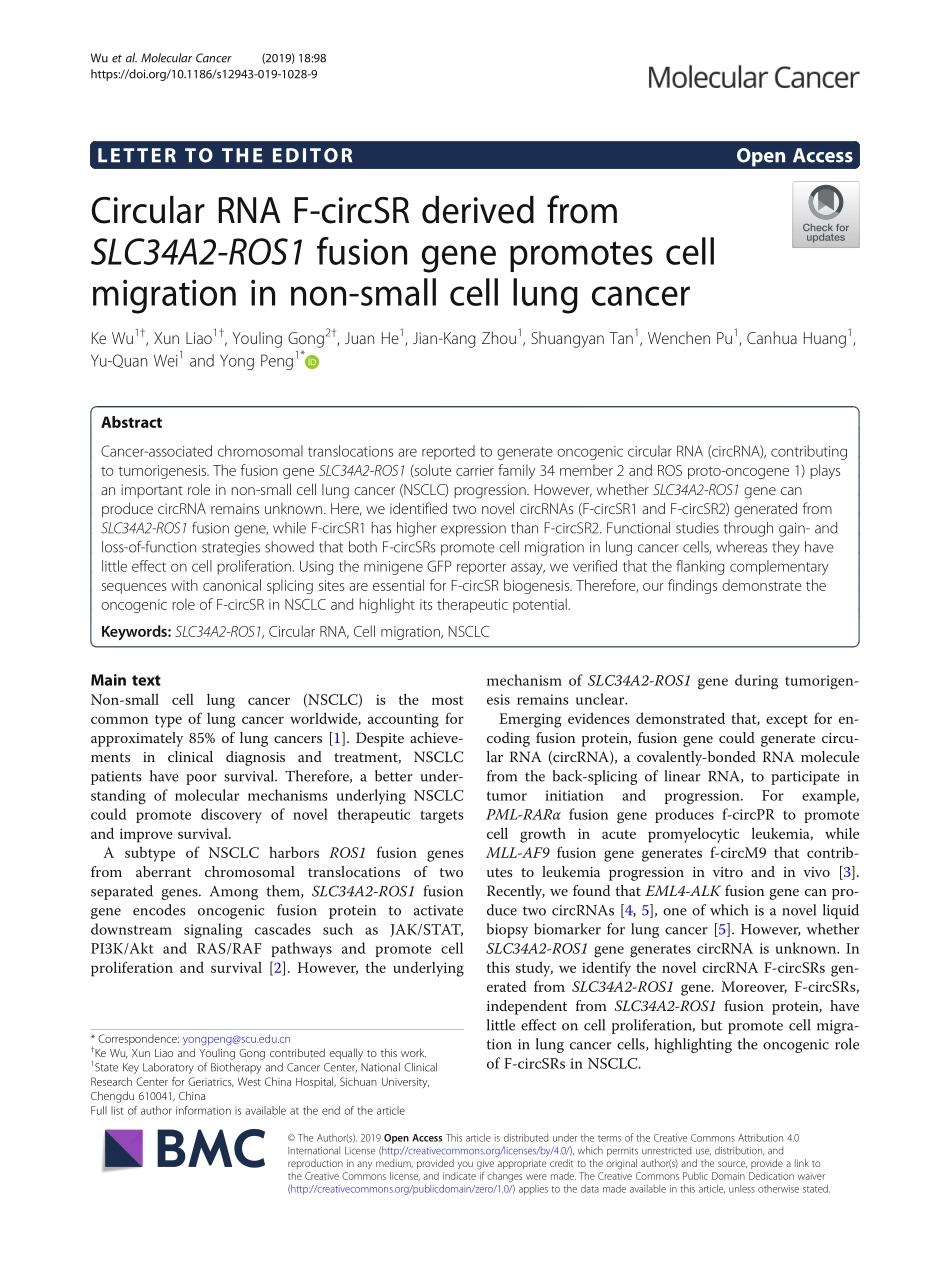 PMID：31118036.pdf_第1页