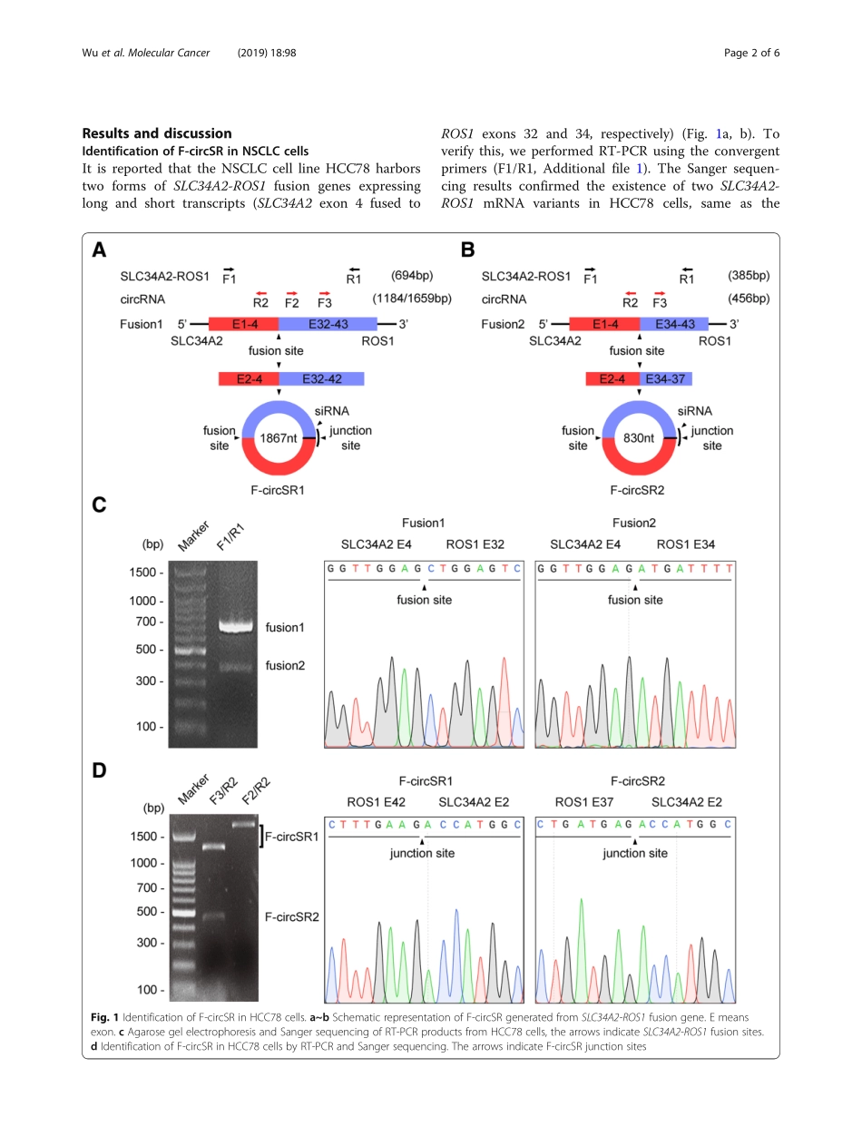PMID：31118036.pdf_第2页