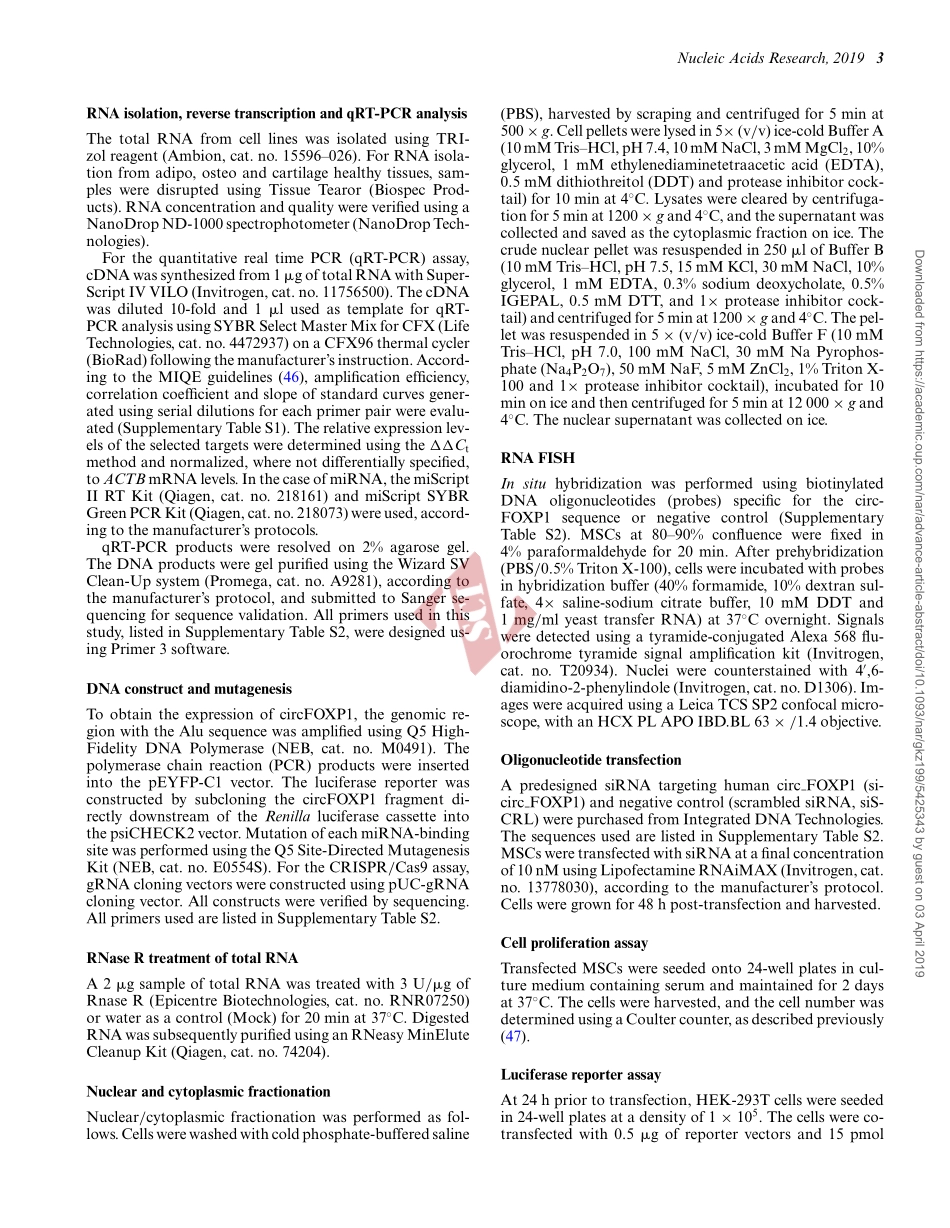 PMID：30937446.pdf_第3页