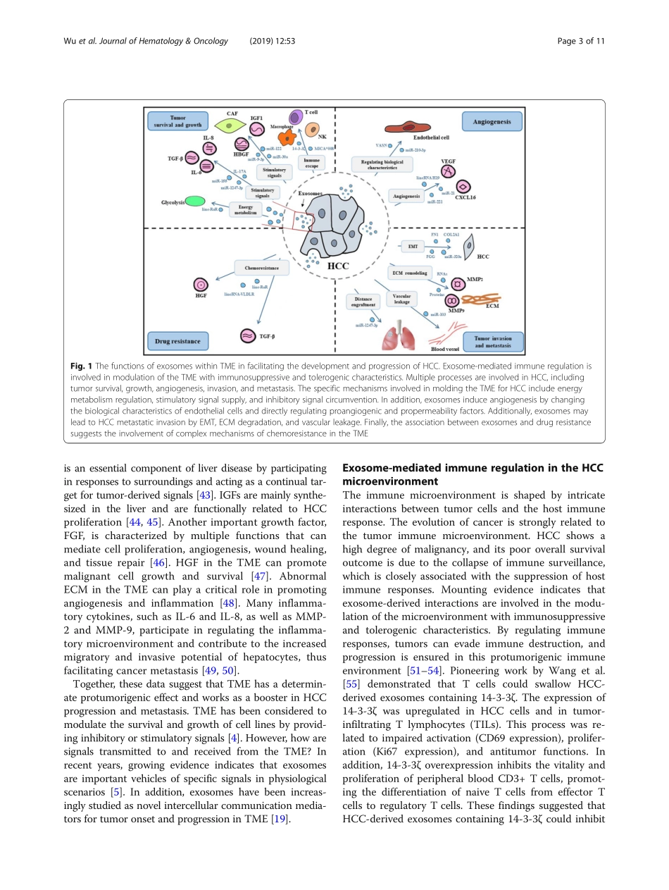 Exosome-mediated communication in the tumor mi.pdf_第3页